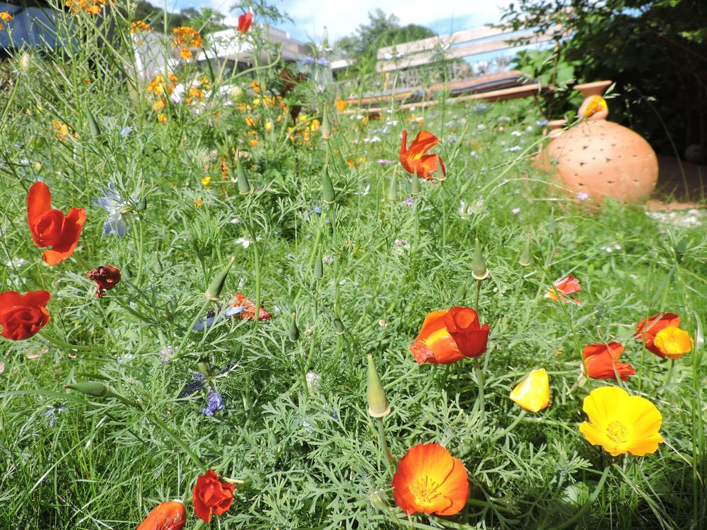 B&B Am Sonnenhuegel Baden Ngoại thất bức ảnh